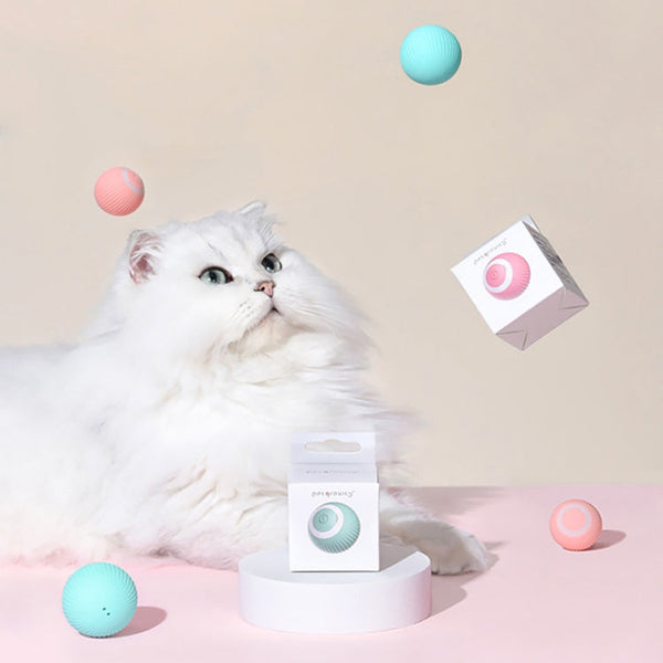 Automatic Pet Rolling Ball